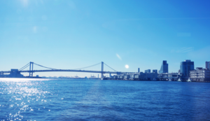 球队前锋球员突破个人得分纪录——从孤胆到传奇的逆袭之路