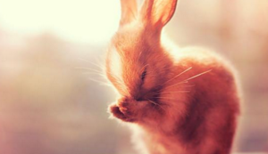 卡昂主帅透露球队调整计划