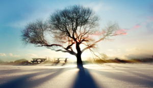 球队前锋球员突破个人得分纪录——从孤胆到传奇的逆袭之路